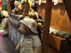 -济州岛泰迪熊博物馆