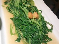 -绿茶餐厅(广州天河城店)