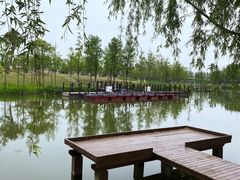 -上海长兴岛郊野公园