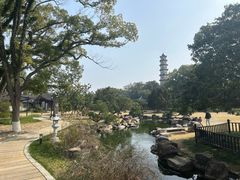 -江心屿景区
