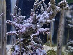 -郑州海洋馆