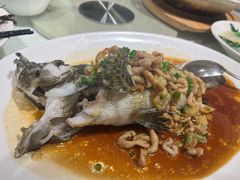 清蒸沙巴龙趸-東海海鲜酒家(中信广场店)