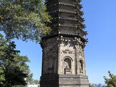 -高尔山公园