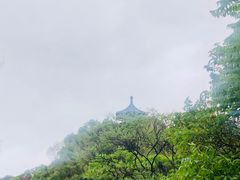 -上海佘山国家森林公园天马山园