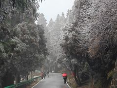 -南岳衡山风景名胜区