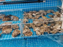 -仙螺岛海鲜自助餐厅(总店)