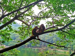 -黔灵山公园