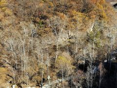 -玉渡山自然风景区