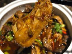-先机泉水鸡汤(南山老君洞店)