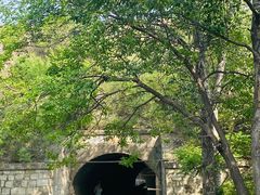 -白水寺森林公园