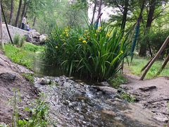 -白水寺森林公园