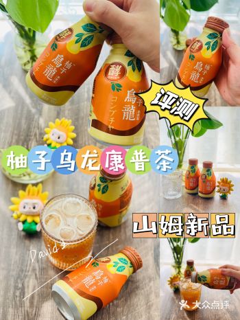 山姆新品——柚子乌龙康普茶评测！