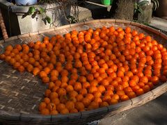 -贵长农家乐·北海湿地