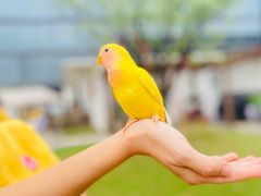 -硅谷蒙学幼儿园