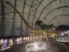-辽宁古生物博物馆