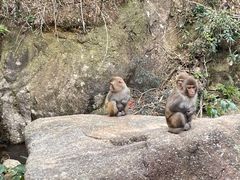 -姑婆山旅游区