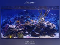 -芜湖新华联大白鲸海洋公园