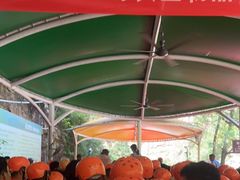 -雅鲁激流探险漂流