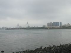 -万绿园