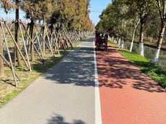 -上海长兴岛郊野公园