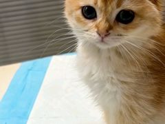-美美宠物诊疗中心·异宠·骨科(滨江东信分院)