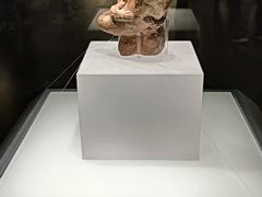 -四川大学博物馆