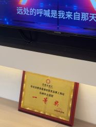 -乐绅男士高端假发定制