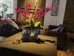 -JINNS锦时 steak&pizza(浸信会礼拜堂旧址店)