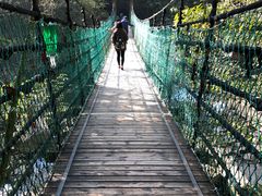 -溪口-滕头旅游景区