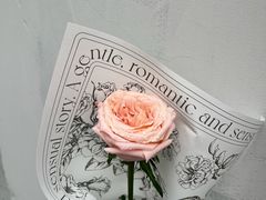 -FEI FEI FLOWER鲜花店·气球派对·宝宝宴布置(虹口德必运动Loft店)
