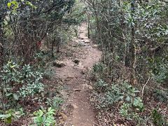 -梧桐山风景名胜区