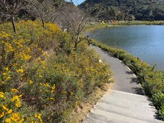 -广州市石门国家森林公园