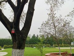 -大蜀山国家森林公园