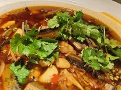 -院8里·小聚园老川菜(九眼桥店)