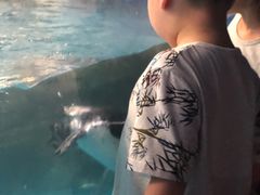 -常州海昌海洋探索馆