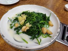 上汤一点红-金记猪肚鸡(琅西店)