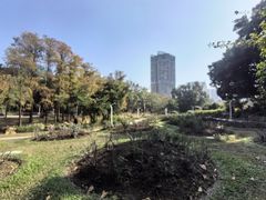 -人民公园(罗湖区)