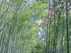 -黄山翡翠谷景区