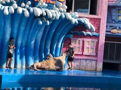 -华夏文旅海洋公园