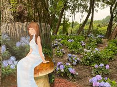 -上海共青森林公园