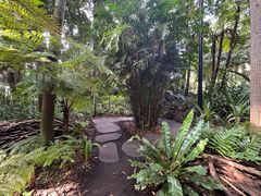 -墨尔本皇家植物园