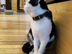 -猫的天空之城概念书店(杭州南宋御街店)