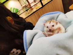 -藦茜花园宠物主题亲子互动体验馆(国顺东路店)