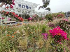 -莲花山公园