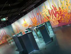 -北京科学中心儿童乐园