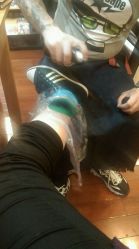 点击看大图 android_upload_pic-越域刺青