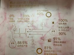 -爱尔乐美孕产瑜伽·普拉提