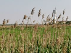 -上海吴淞炮台湾国家湿地公园