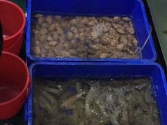 -QQ海鲜餐厅