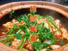 啫啫鱿鱼-煲煲好(朝阳门店)